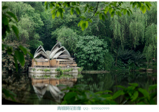 Illustration for article titled China's Mount Rushmore Has Green Leafy Hair